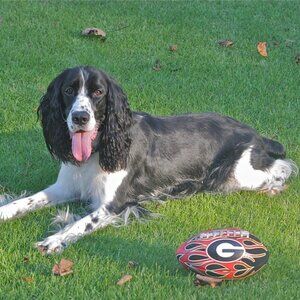 Meet your Posher, Leanne